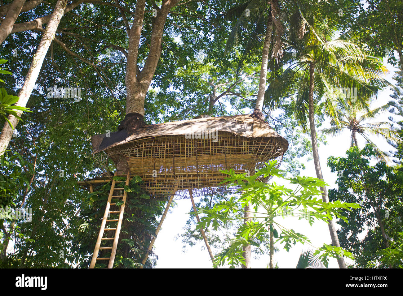 Tree house in Ubud Stock Photo Alamy