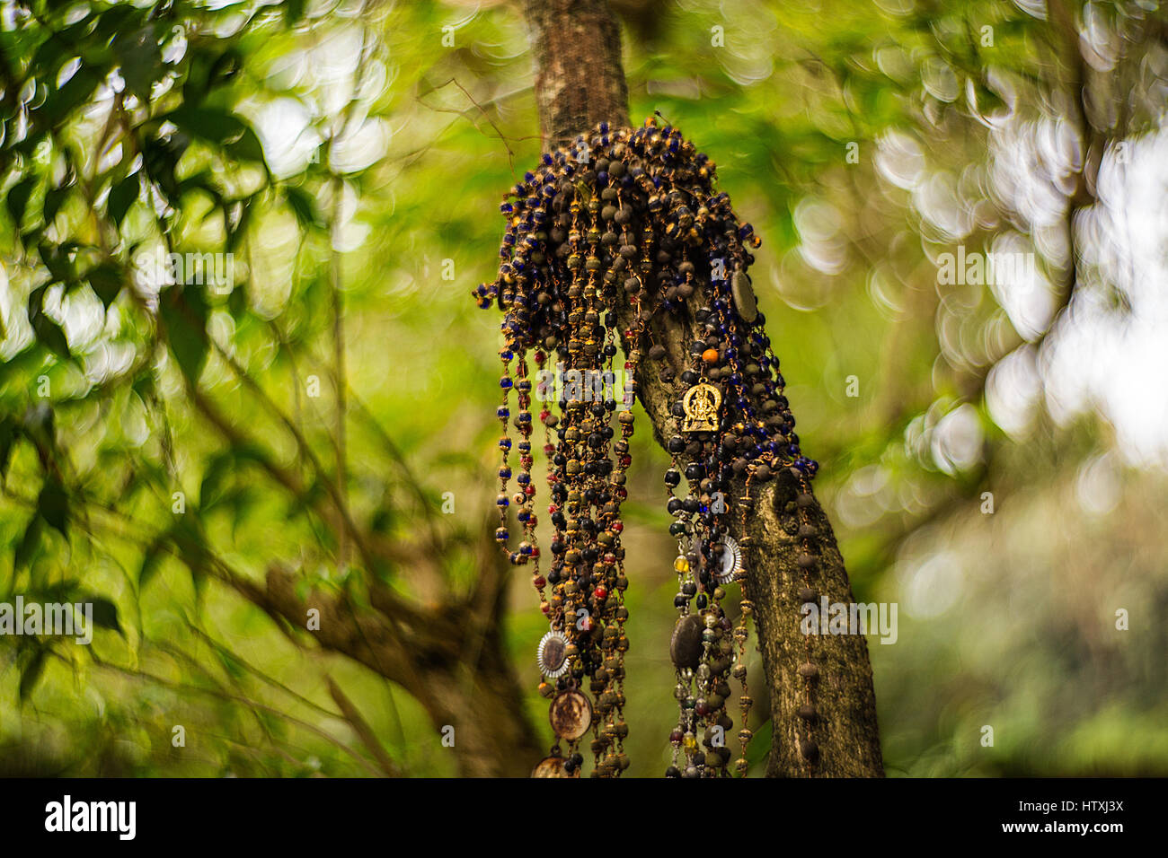 Abstract wallpapers with oil milk and water Stock Photo