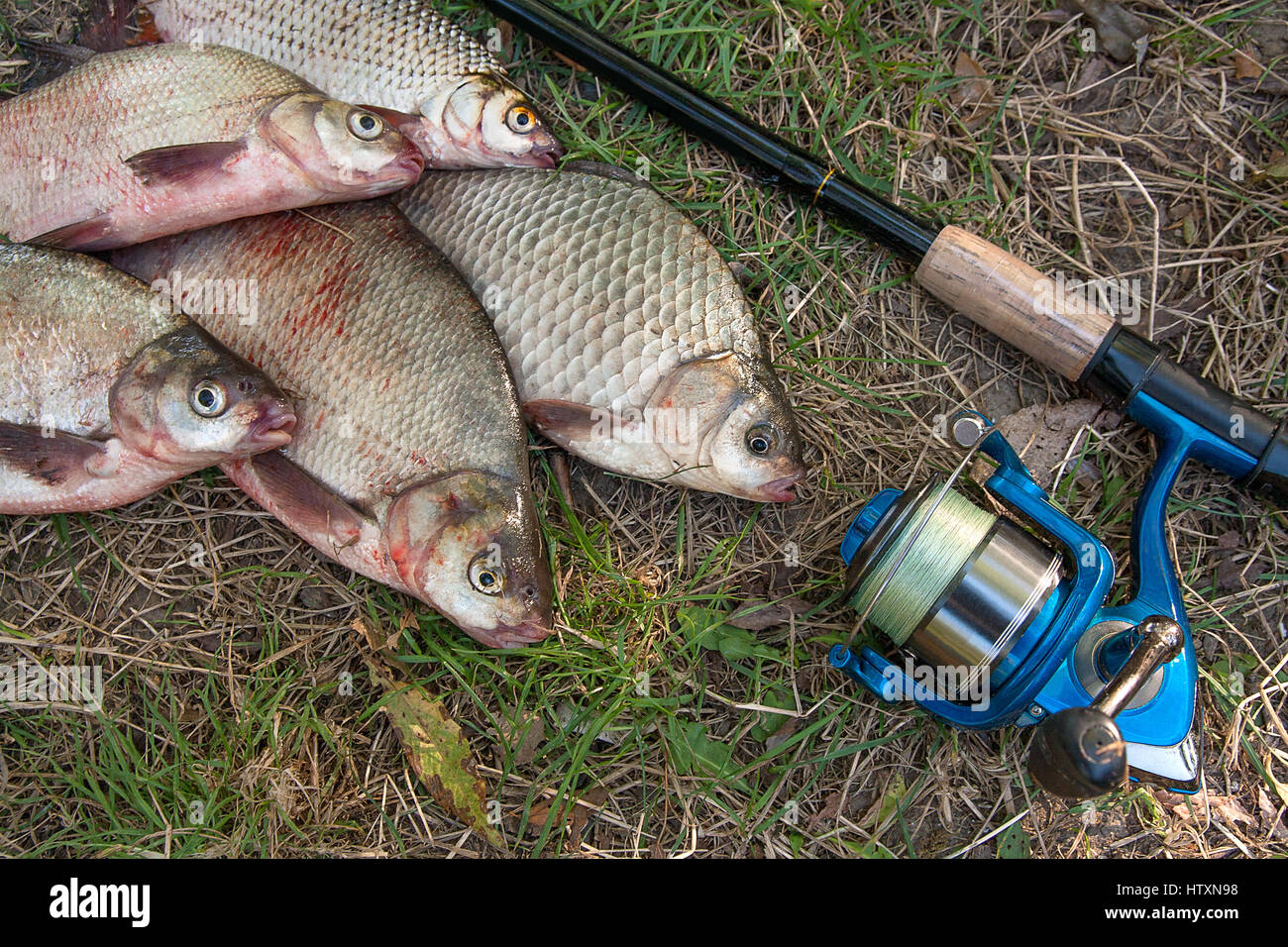 reel shimano citica 200 e Shimano Citica 200E 201E Baitcast Reel UnBoxing (TeamRippnLipz1)