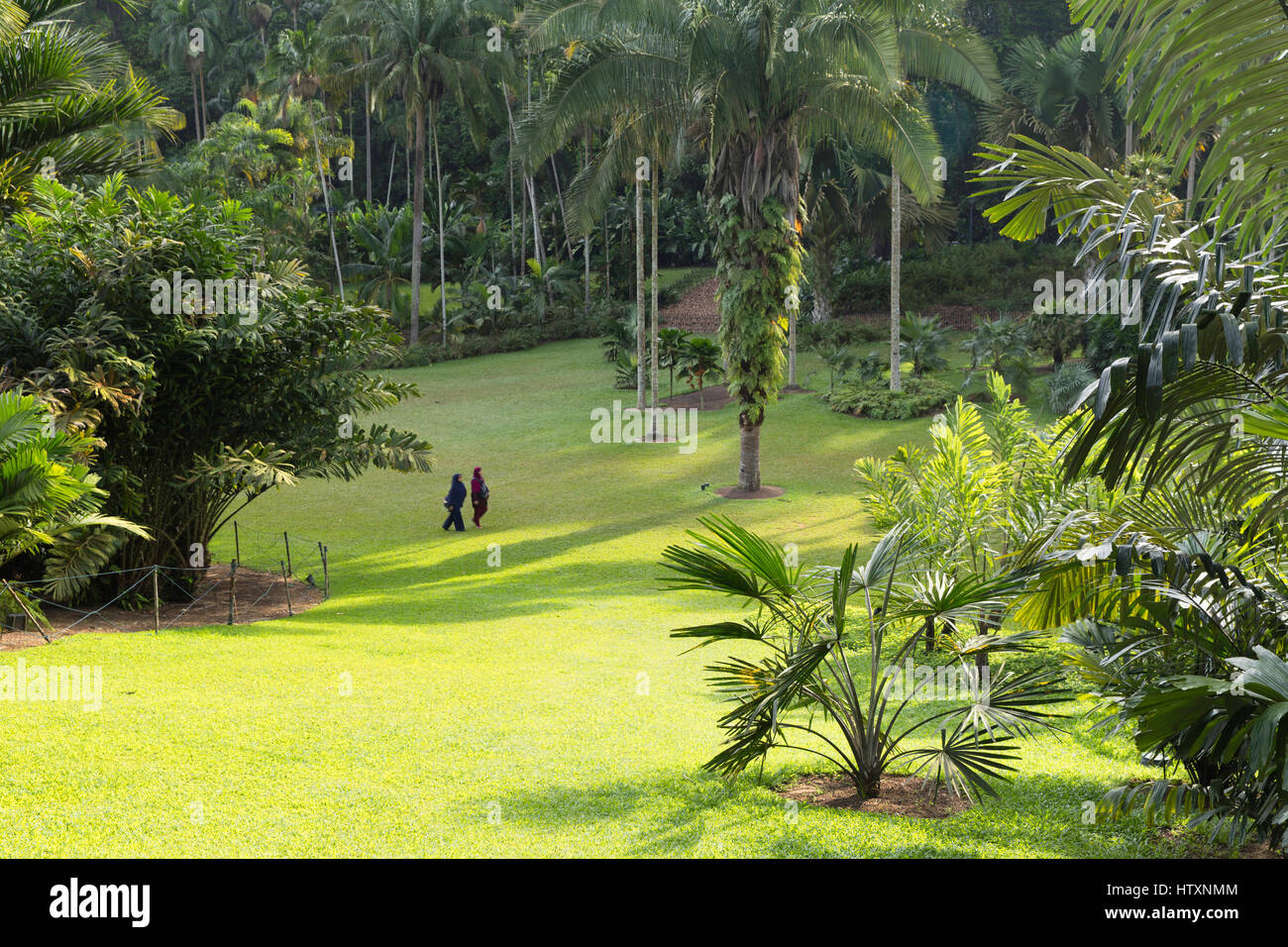 Palm Valley, Botanic Gardens (UNESCO World Heritage Site), Singapore ...