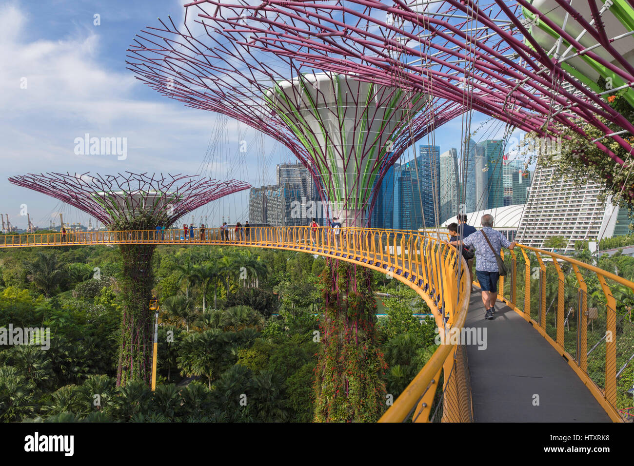 Supertrees at Gardens by the Bay, Singapore Stock Photo