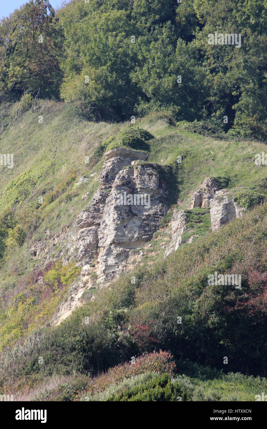 Part of the South West Coast Path national trail on the cliffs above Branscombe, Devon on a sunny day Stock Photo