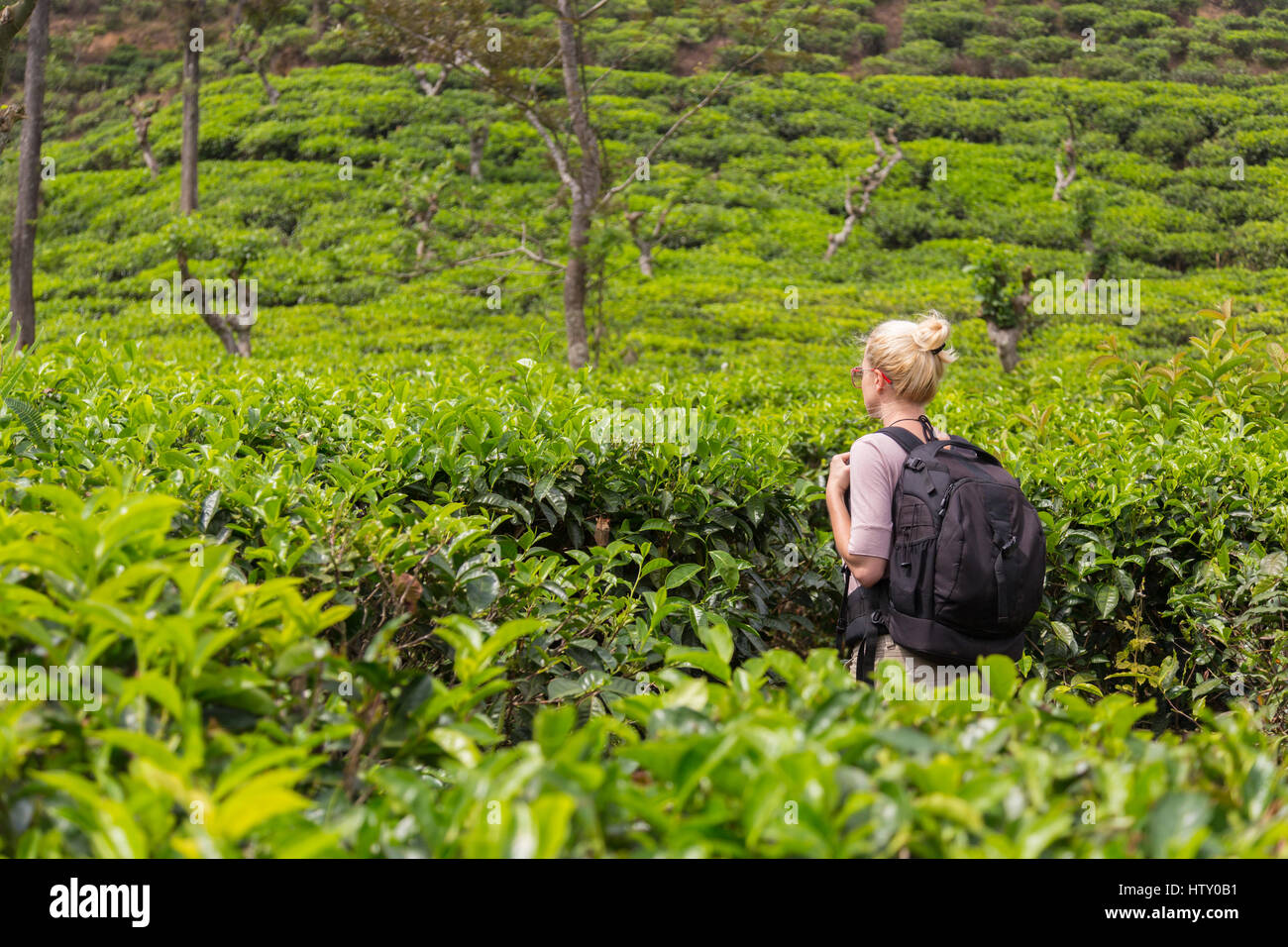 Female tourist enjoying beautiful nature of tea plantations, Sri Stock  Photo - Alamy