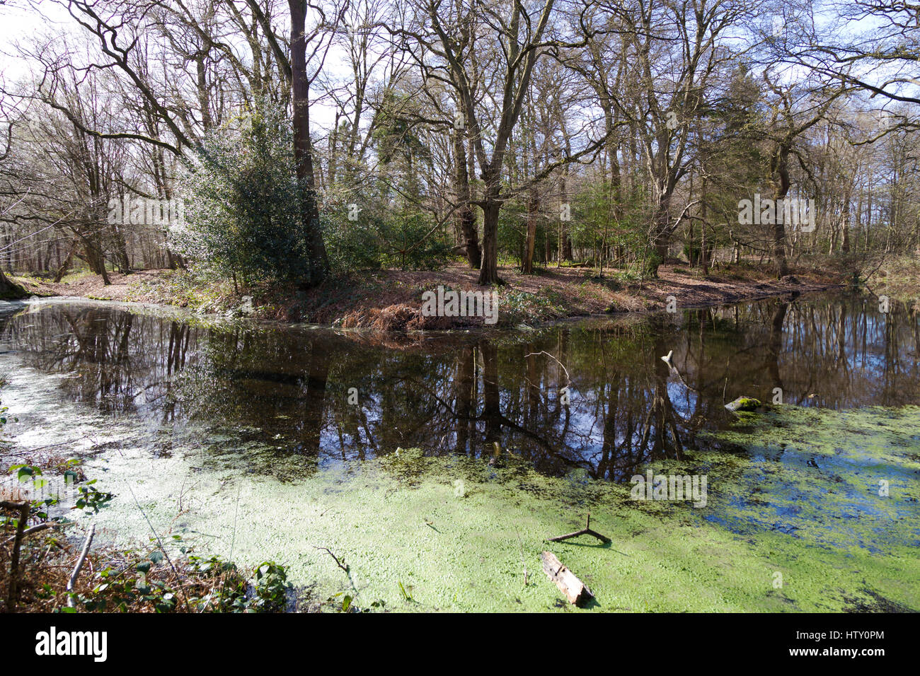 Trent Contry Park : Camelot Moat surrounding a small island. Stock Photo