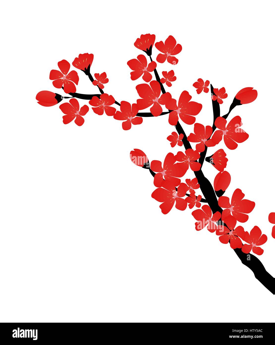 Abstract Floral Sakura Flower Japanese Natural Background Vector Stock