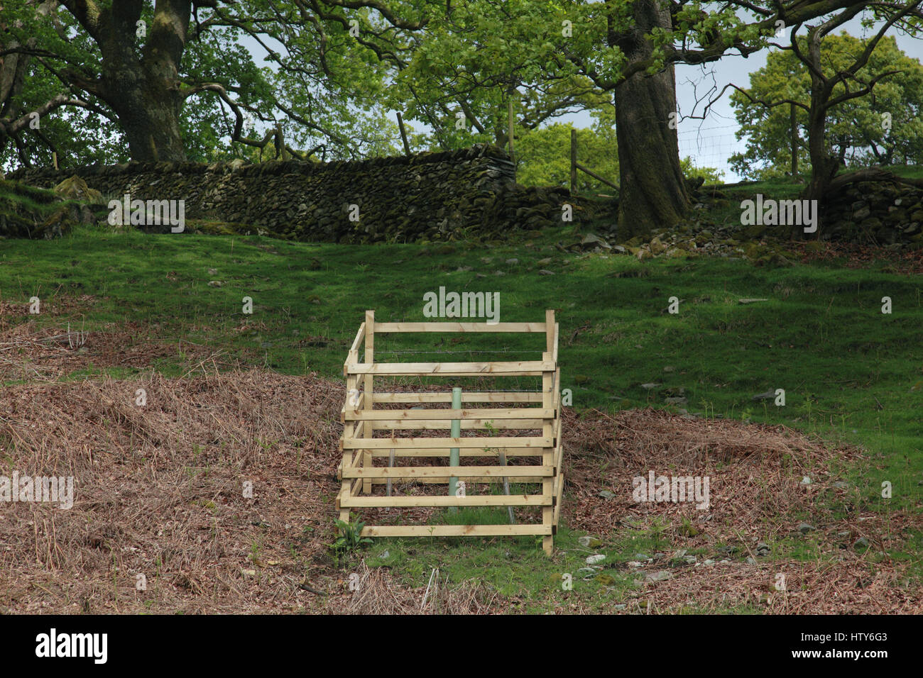 A wooden fence tree guard to protect a young tree from being nibbled by