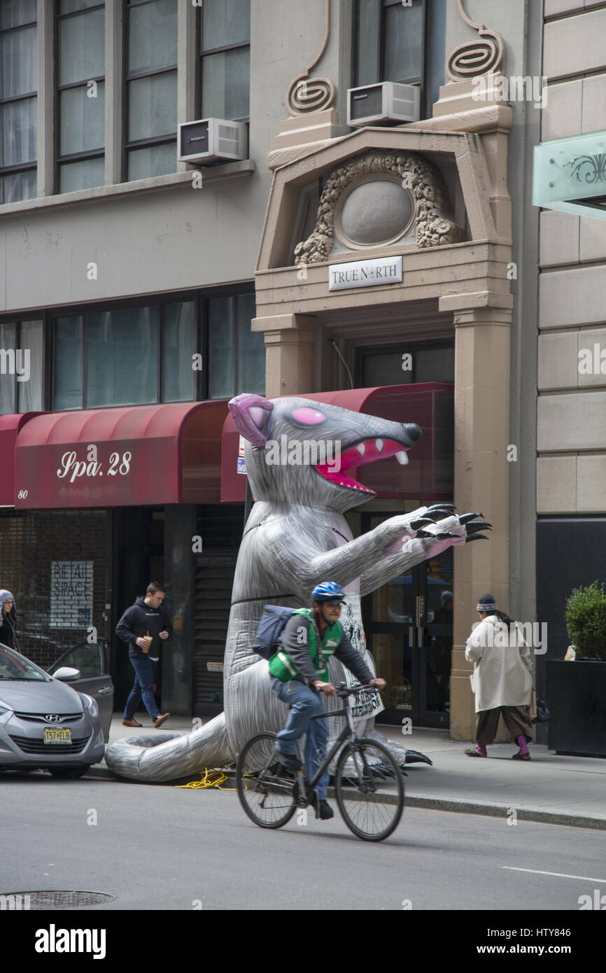 Unions put up the inflatable rat and picket outside office buildings ...