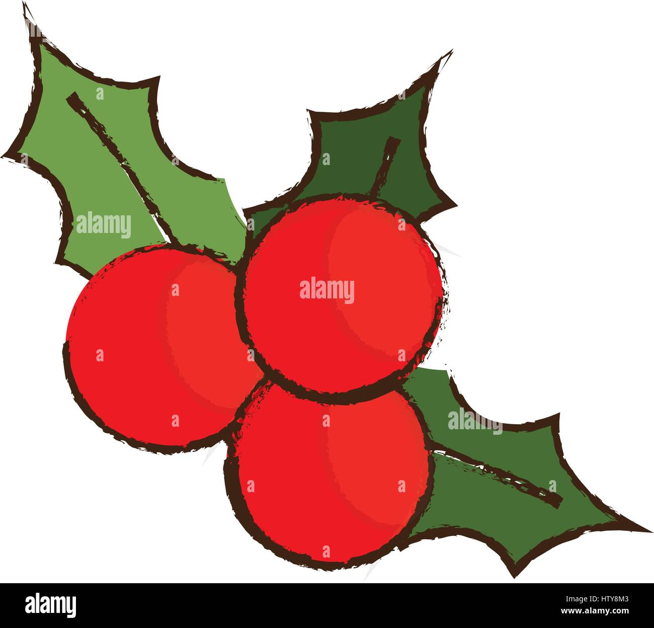 holly berries leaves christmas image Stock Vector Image & Art - Alamy