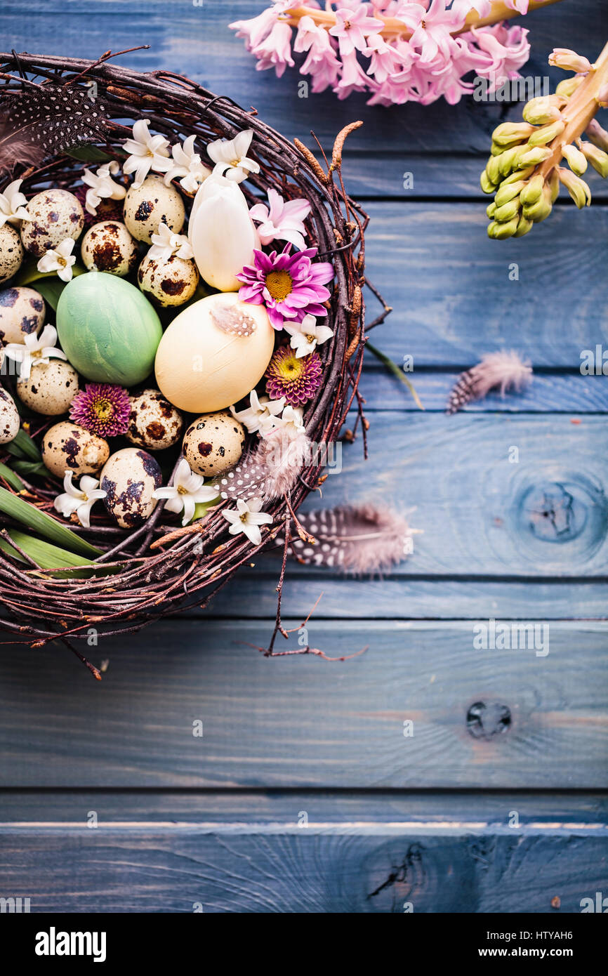 Nest with easter eggs and flowers on a blue wooden background. top view ...