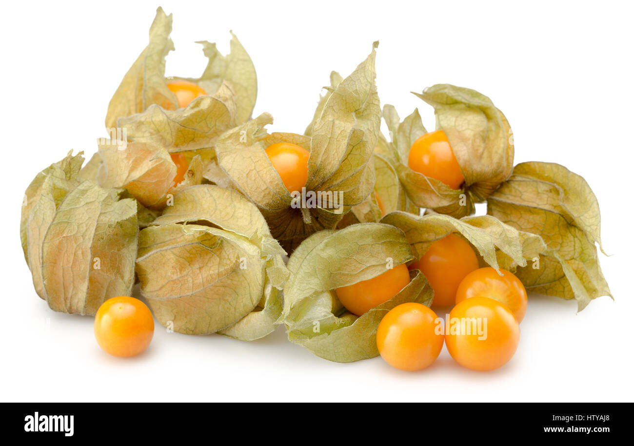 cape gooseberries isolated on the white background. Stock Photo