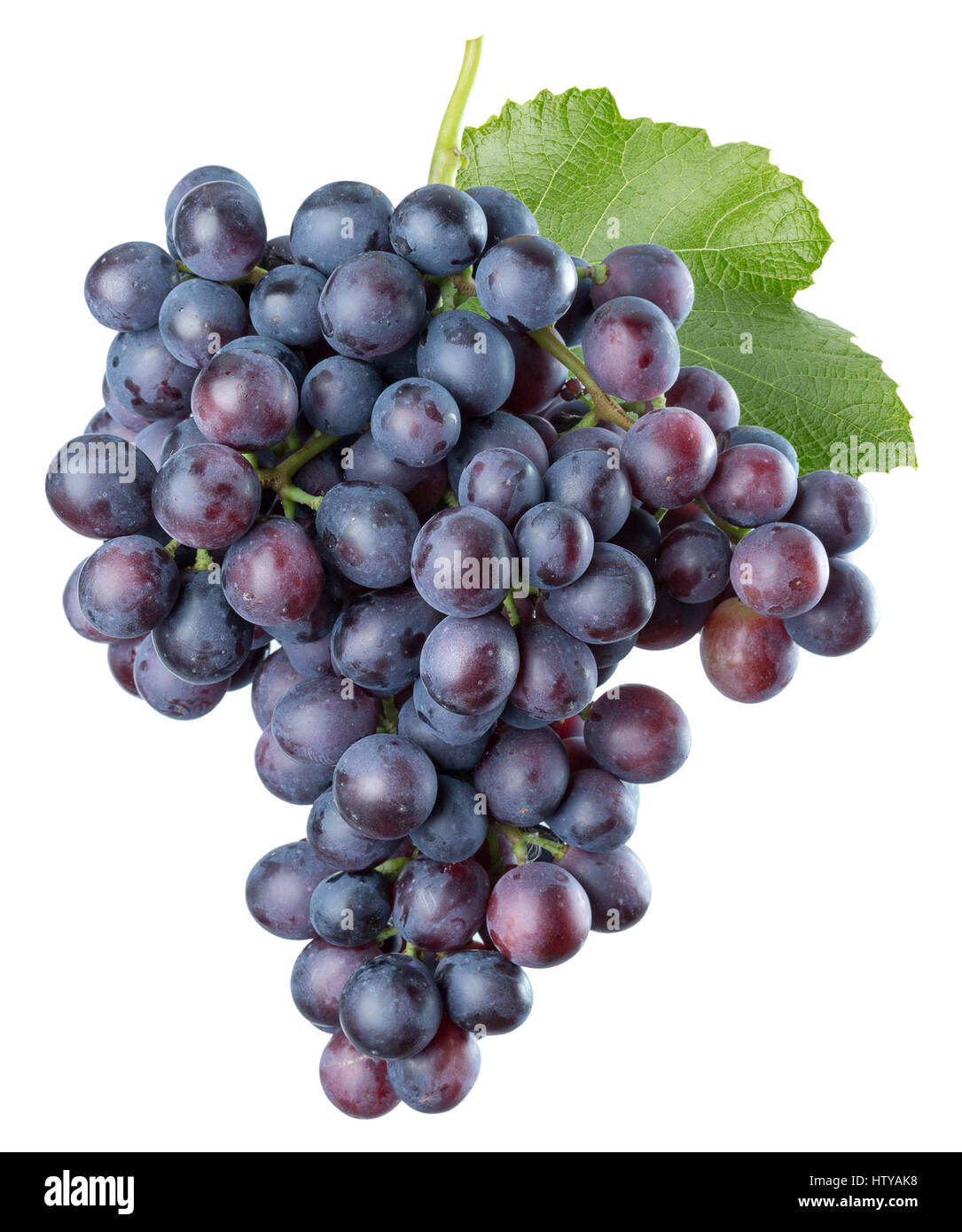 purple grapes isolated on a white background. Stock Photo