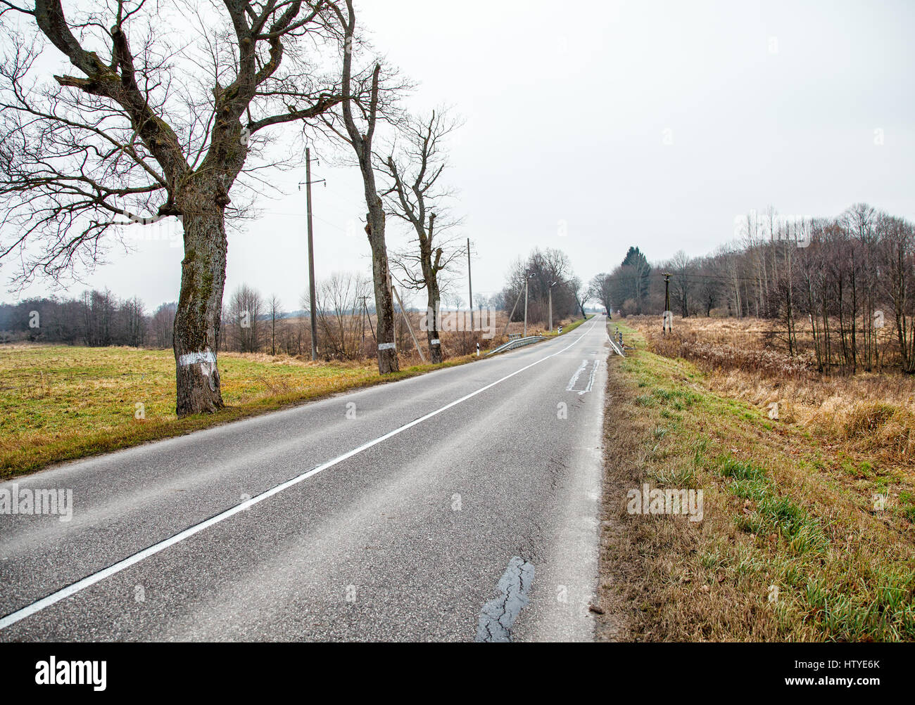 Empty road through the countryside, Kaliningrad, Russian Federation Stock Photo