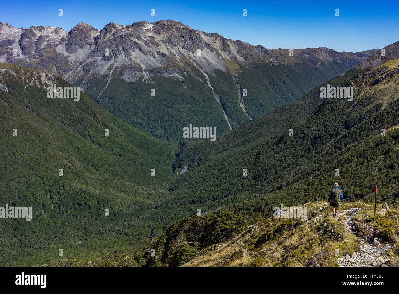 Man hiking into the sabine river valley hires stock photography and