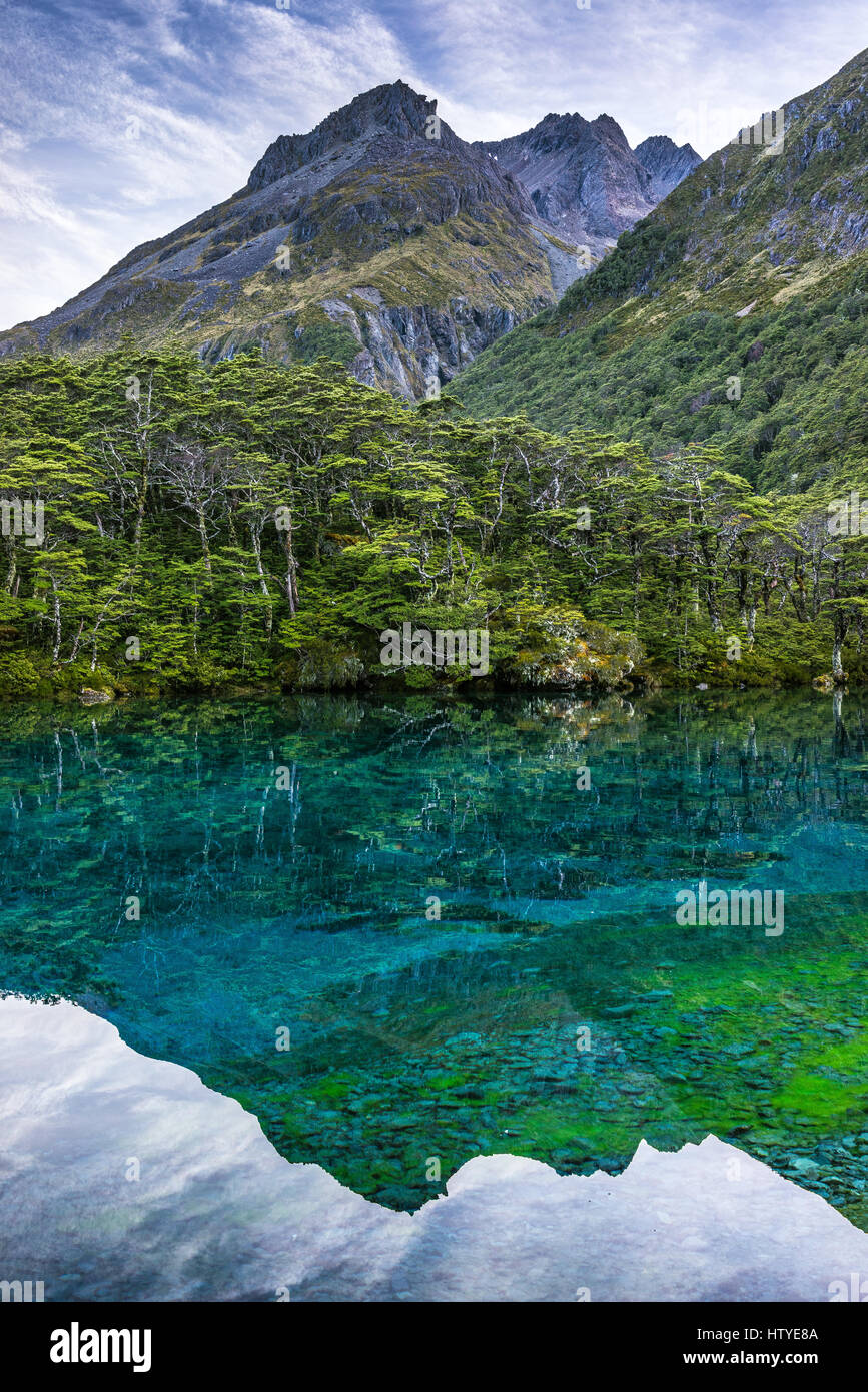 Blue Lake and Franklin Range, Nelson Lakes National Park, New Zealand Stock Photo