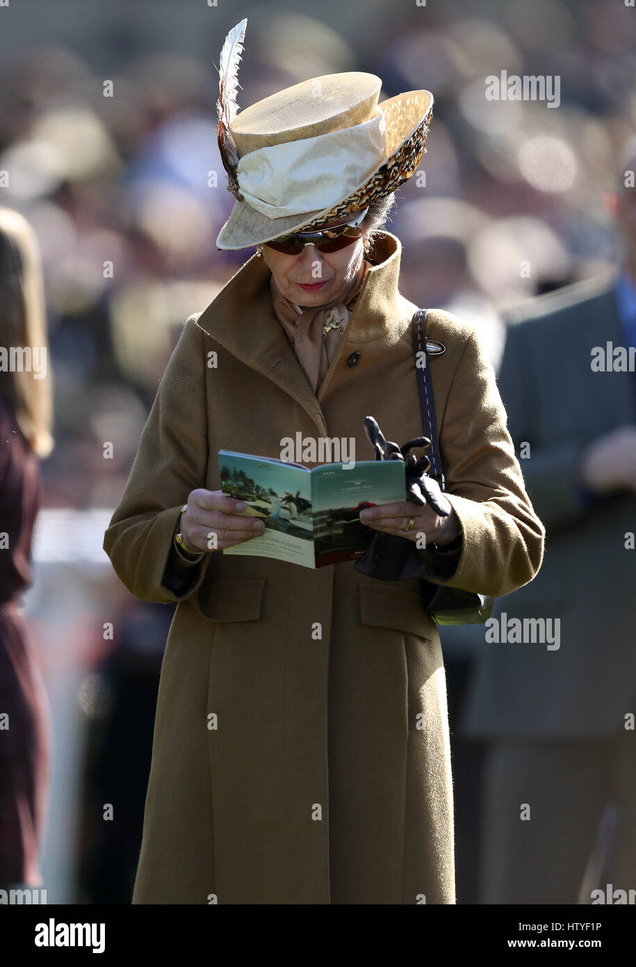 Hrh princess anne cheltenham hi-res stock photography and images - Alamy