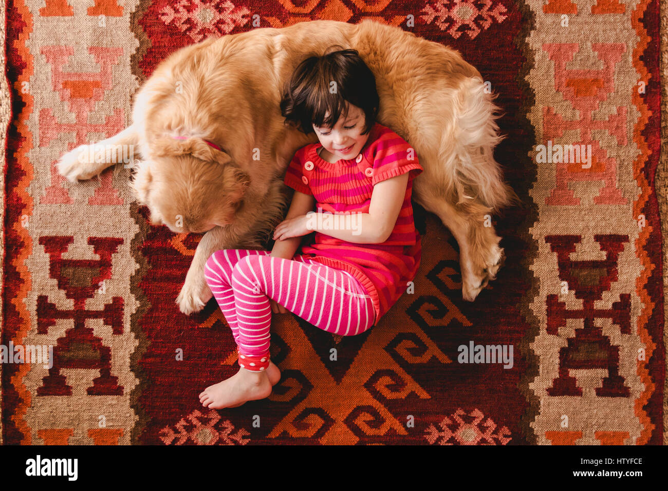 Overhead view of girl lying on floor with a golden retriever dog Stock ...