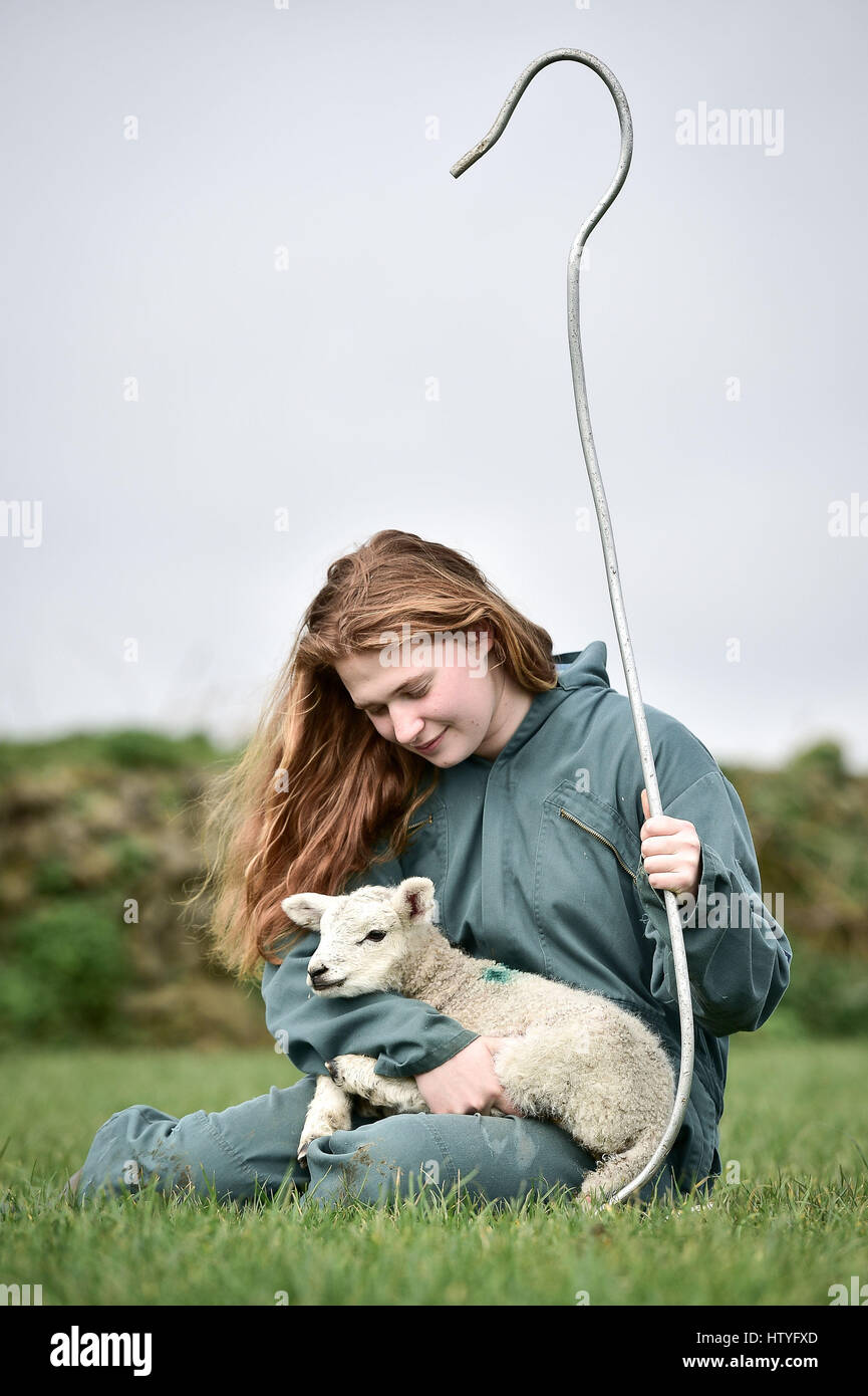 PABEST Elsa Amiss, 18, with the first born lamb from a flock of week-old lambs born on Tregullas Farm, on the Lizard, Cornwall, as the lambing season has come early on the National Trust farm. Stock Photo