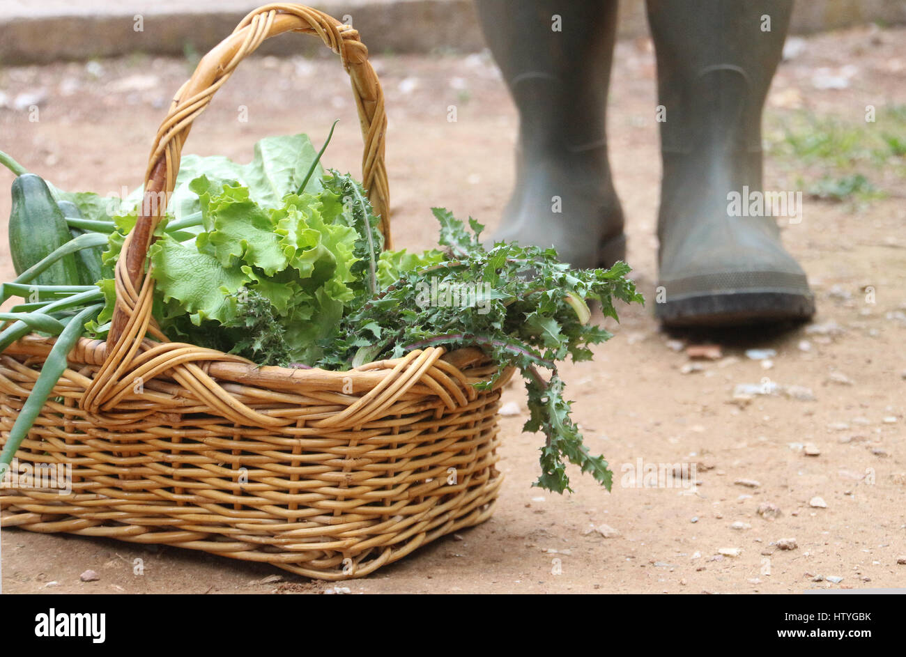 Woman standing by a basket with fresh vegetables Stock Photo - Alamy