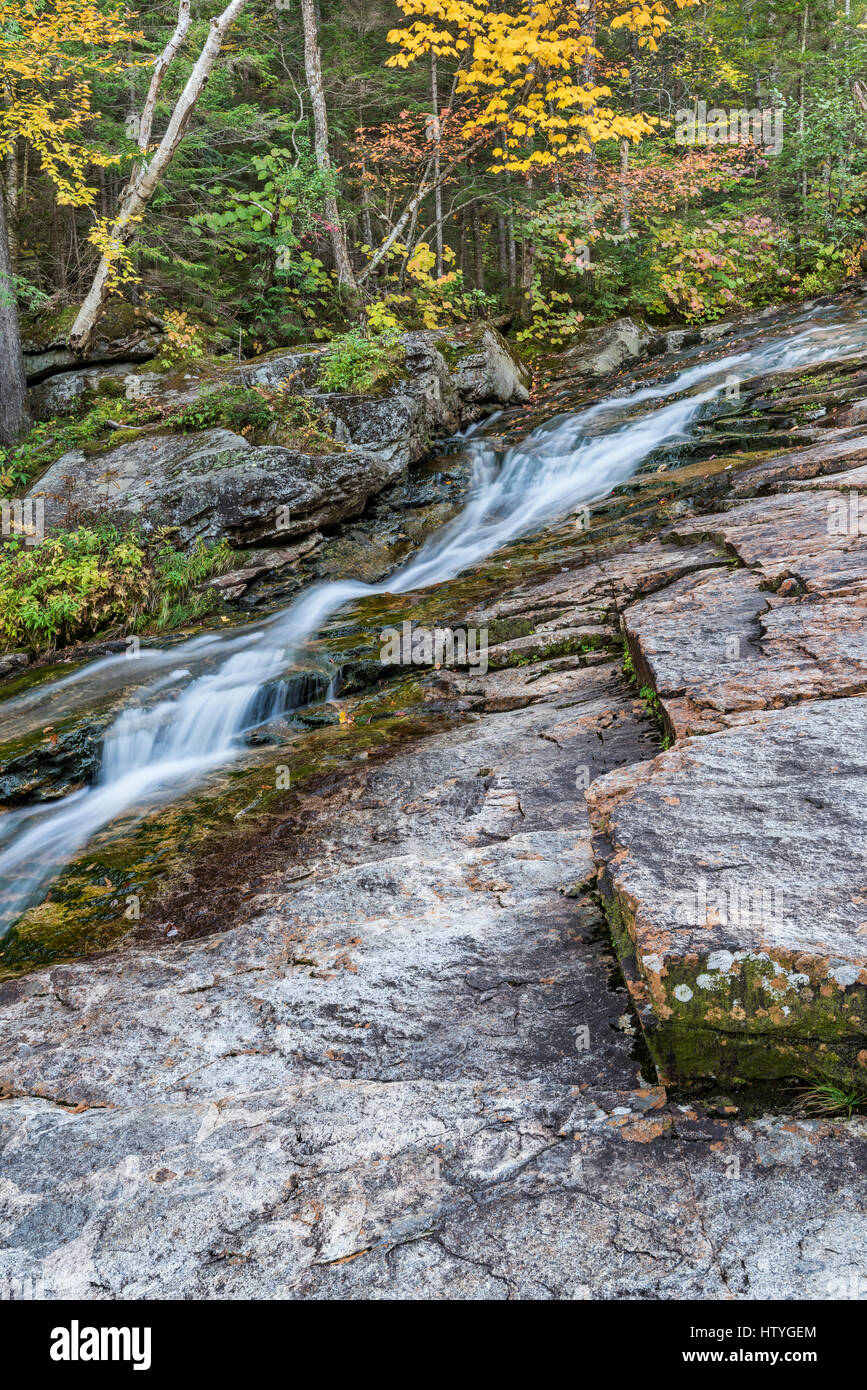 One of several cascades along Cascade Brook, Franconia Notch State ...