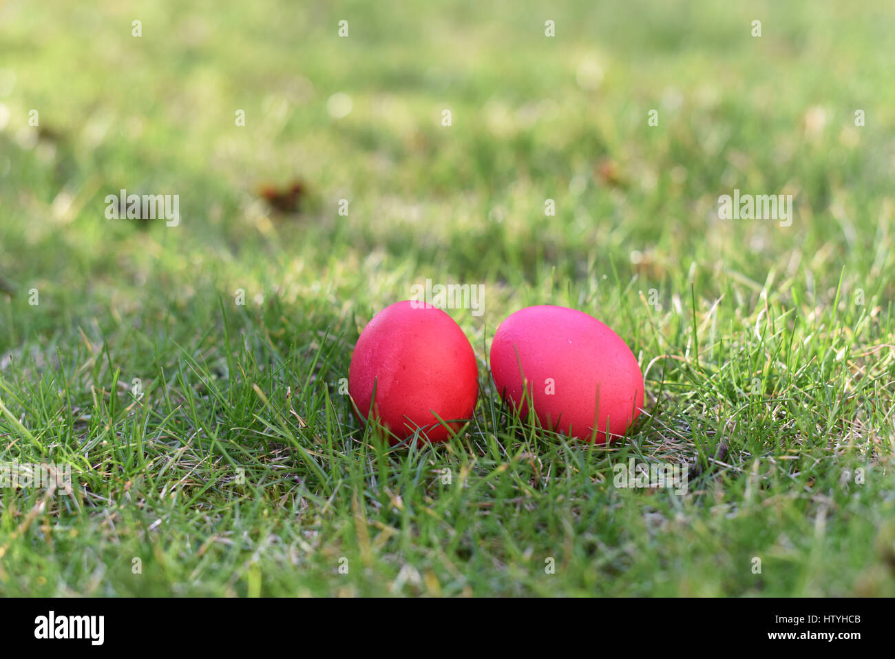 Easter basket grass hi-res stock photography and images - Alamy
