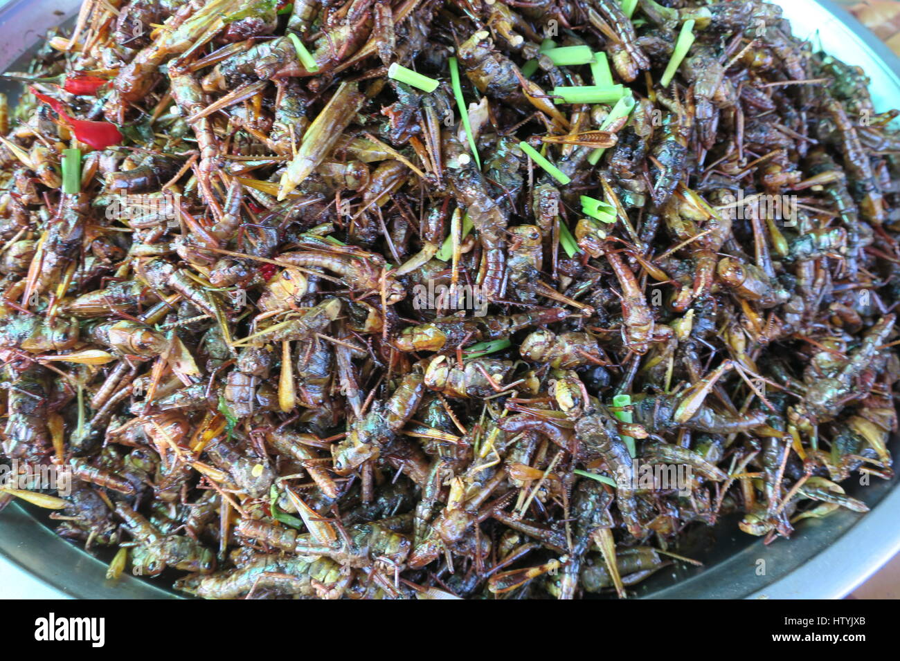 Food cambodia edible insects hi-res stock photography and images - Alamy