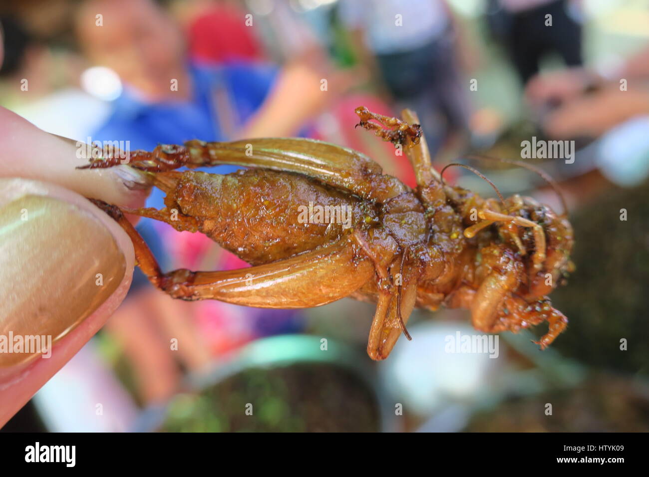 Food cambodia edible insects hi-res stock photography and images - Alamy