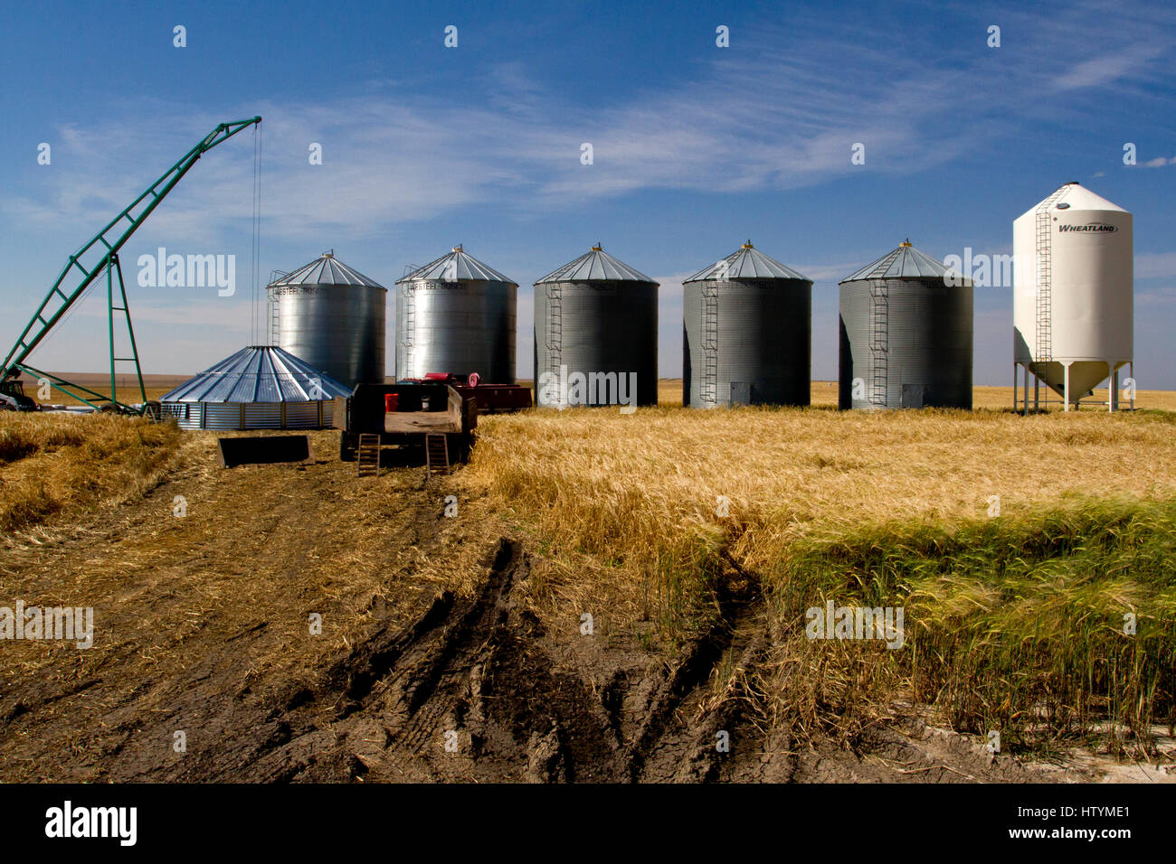 Grain Silos or grain storage bins on farmland in Alberta, Canada Stock