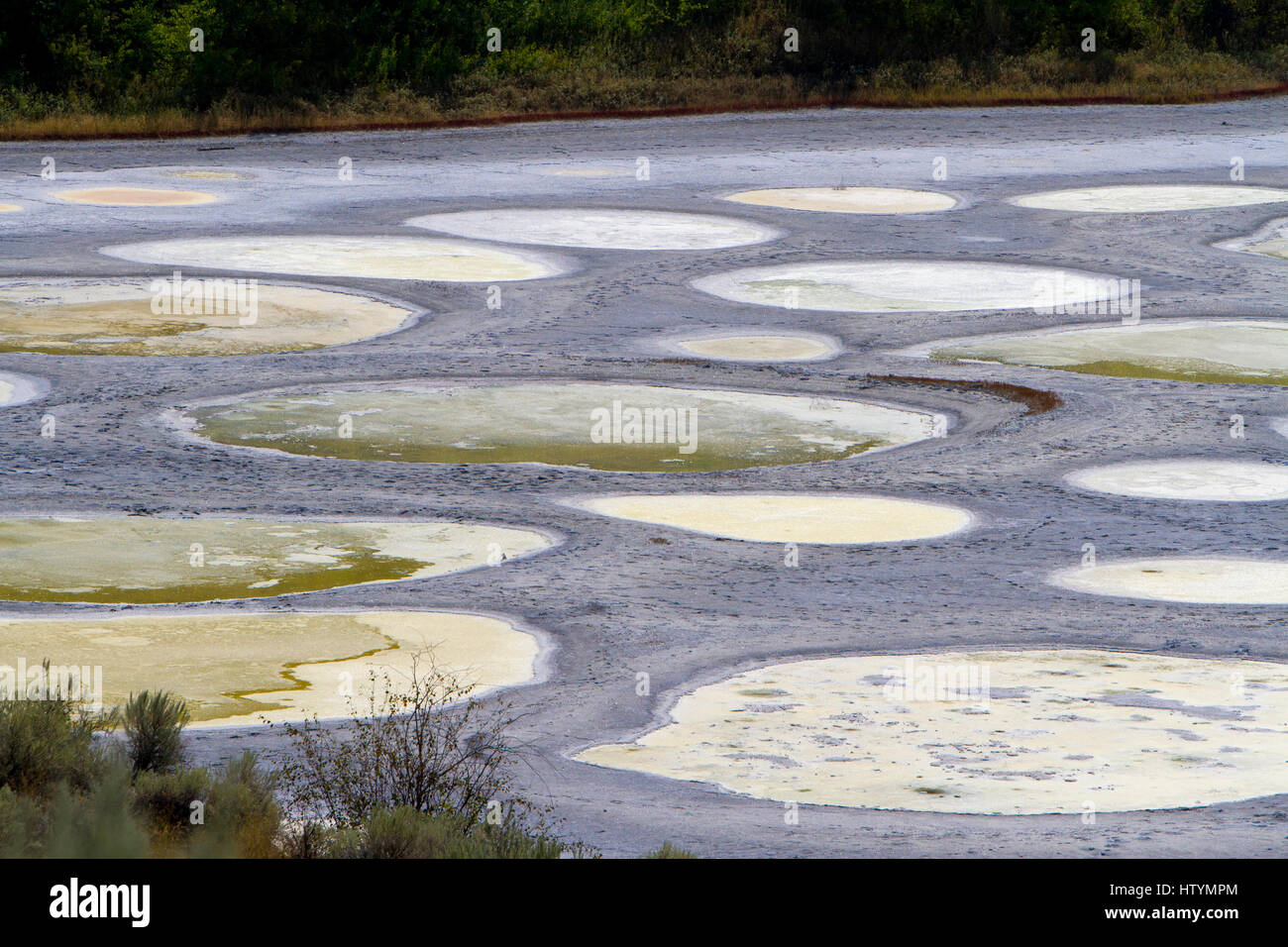 Spotted Lake, a saline endorheic alkali lake, northwest of Osoyoos in