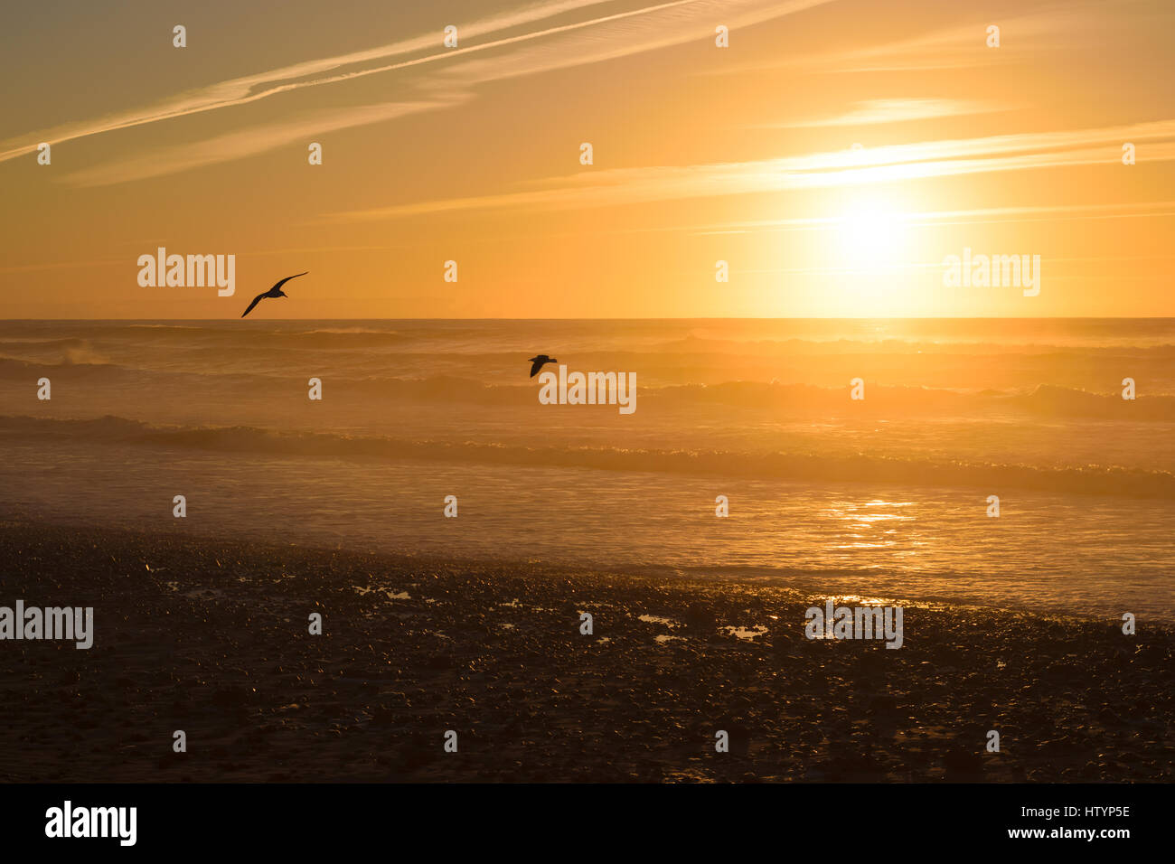 Image of a beautiful sunset during golden hour with two birds flying around at a beach in Morocco. Stock Photo