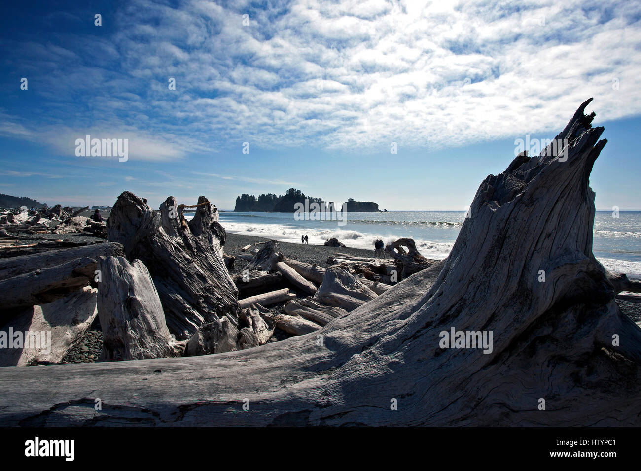 Driftwood at Rialto Beach near La Push, Forks, Olympic National Park, Washington, USA Stock Photo