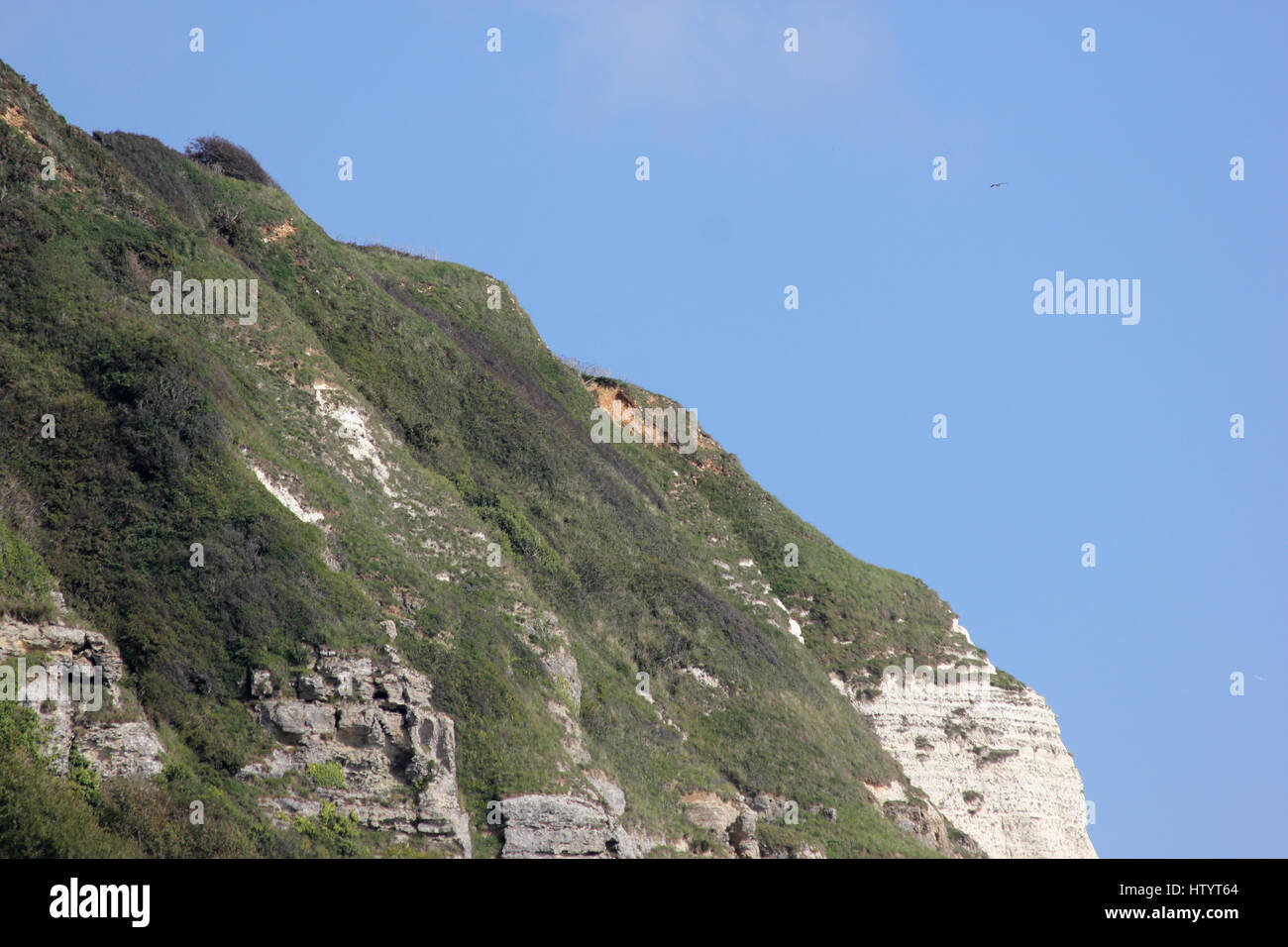 The top of the cliffs between Branscombe and Beer Head, Devon, taken from Branscombe beach looking east on a sunny day with blue sky Stock Photo
