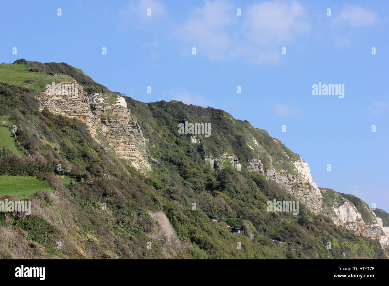 The top of the cliffs between and Beer Head, Devon, taken from beach
