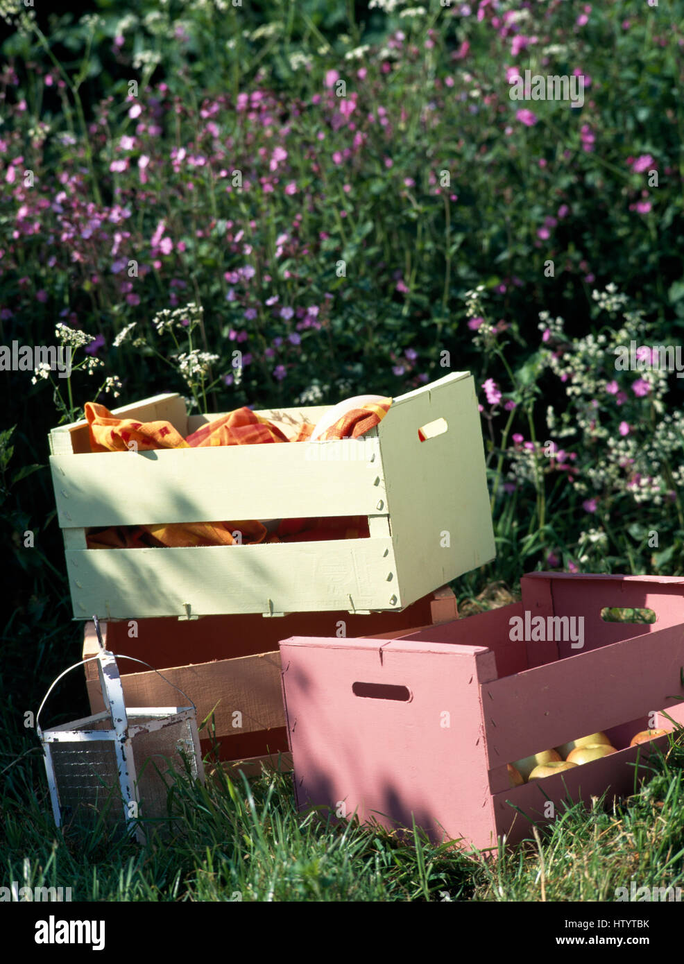 MB PINK BOX DIGITAL LAWN