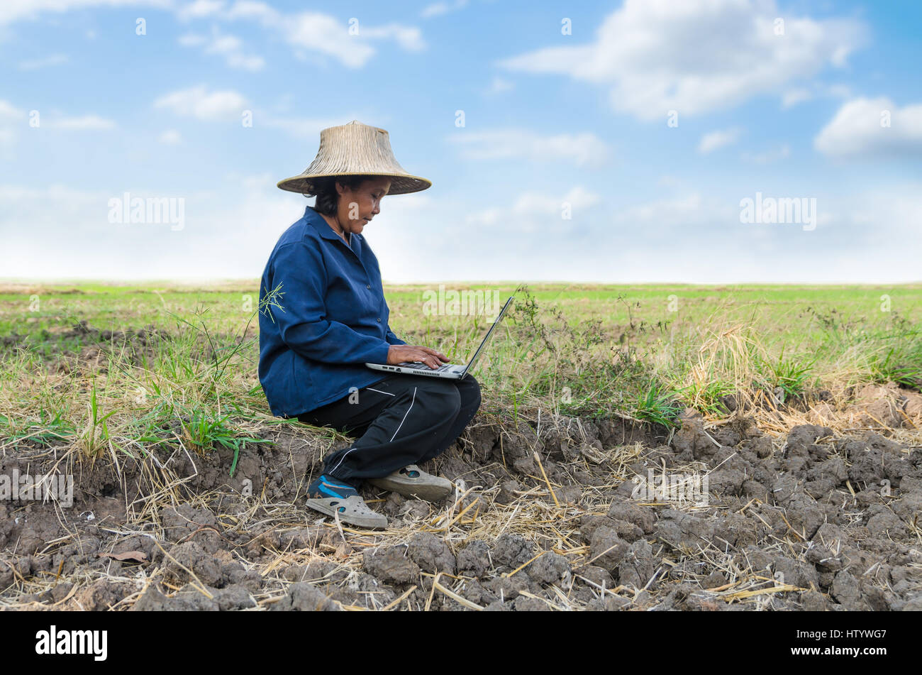 Asian Thai farmer using laptop computer in the rice field Stock Photo