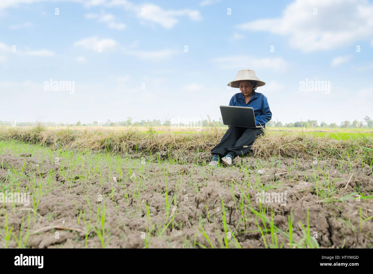 Asian Thai farmer using laptop computer in the rice field Stock Photo