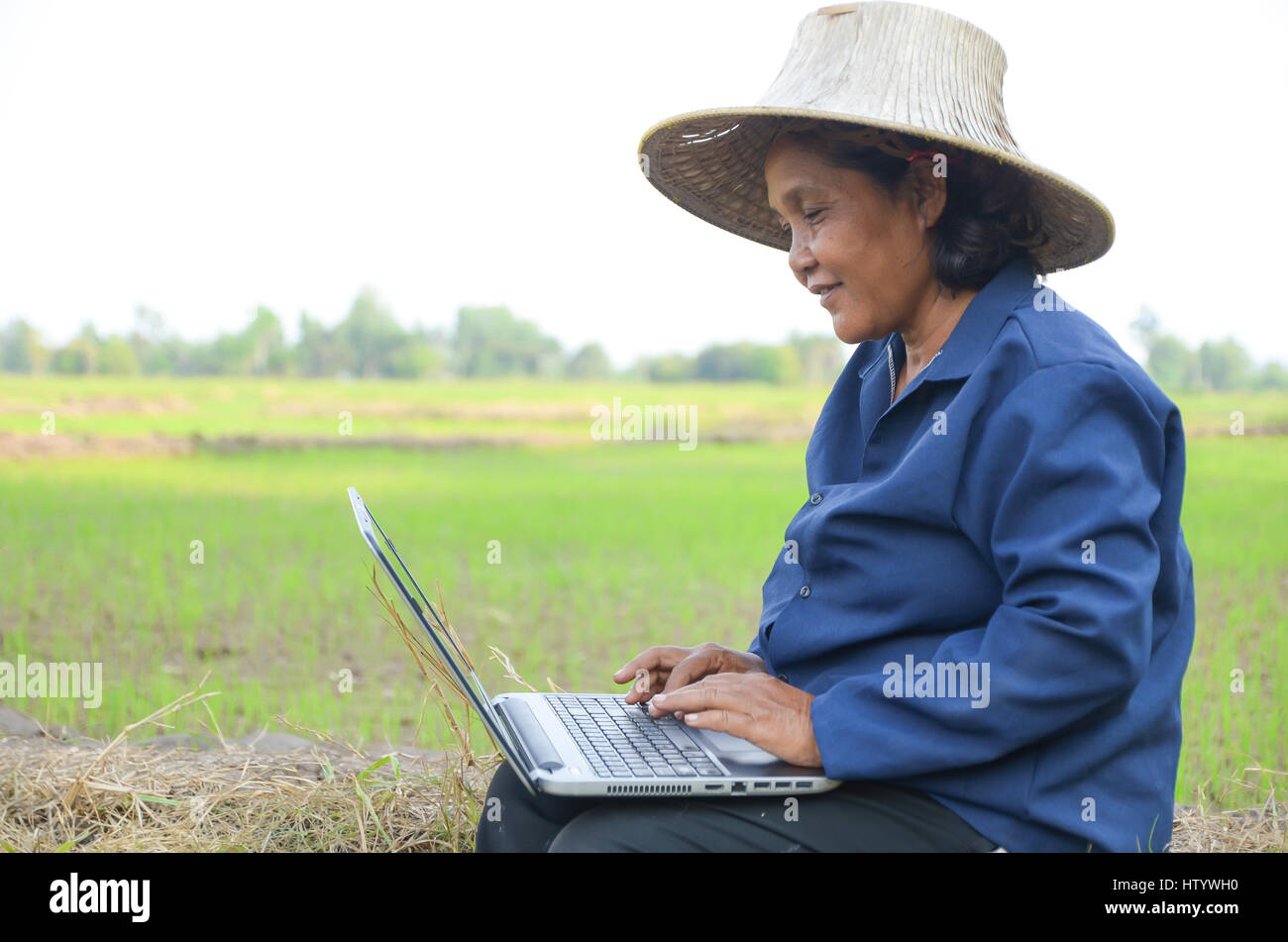 Asian Thai farmer using laptop computer in the rice field Stock Photo