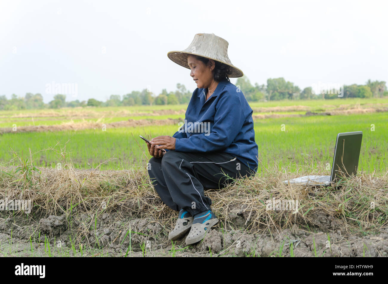 Asian Thai farmer using smartphone laptop computer in the rice field