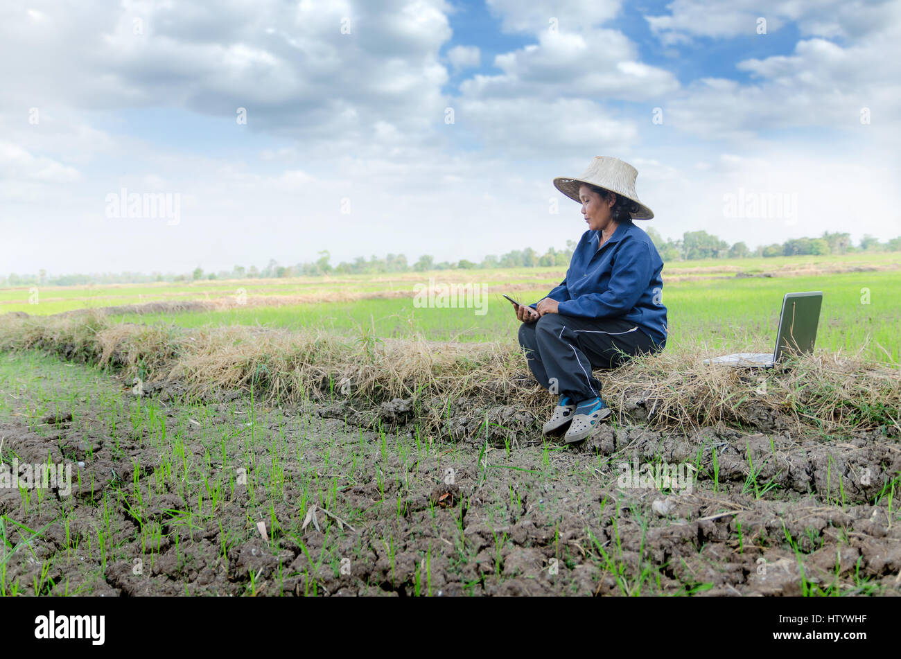 Asian thai farmer using laptop hi-res stock photography and images - Alamy