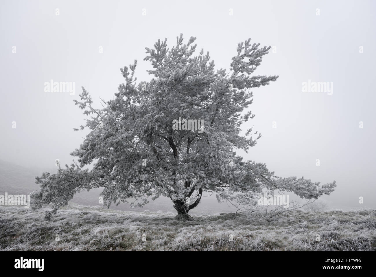 Misty conditions hi-res stock photography and images - Alamy
