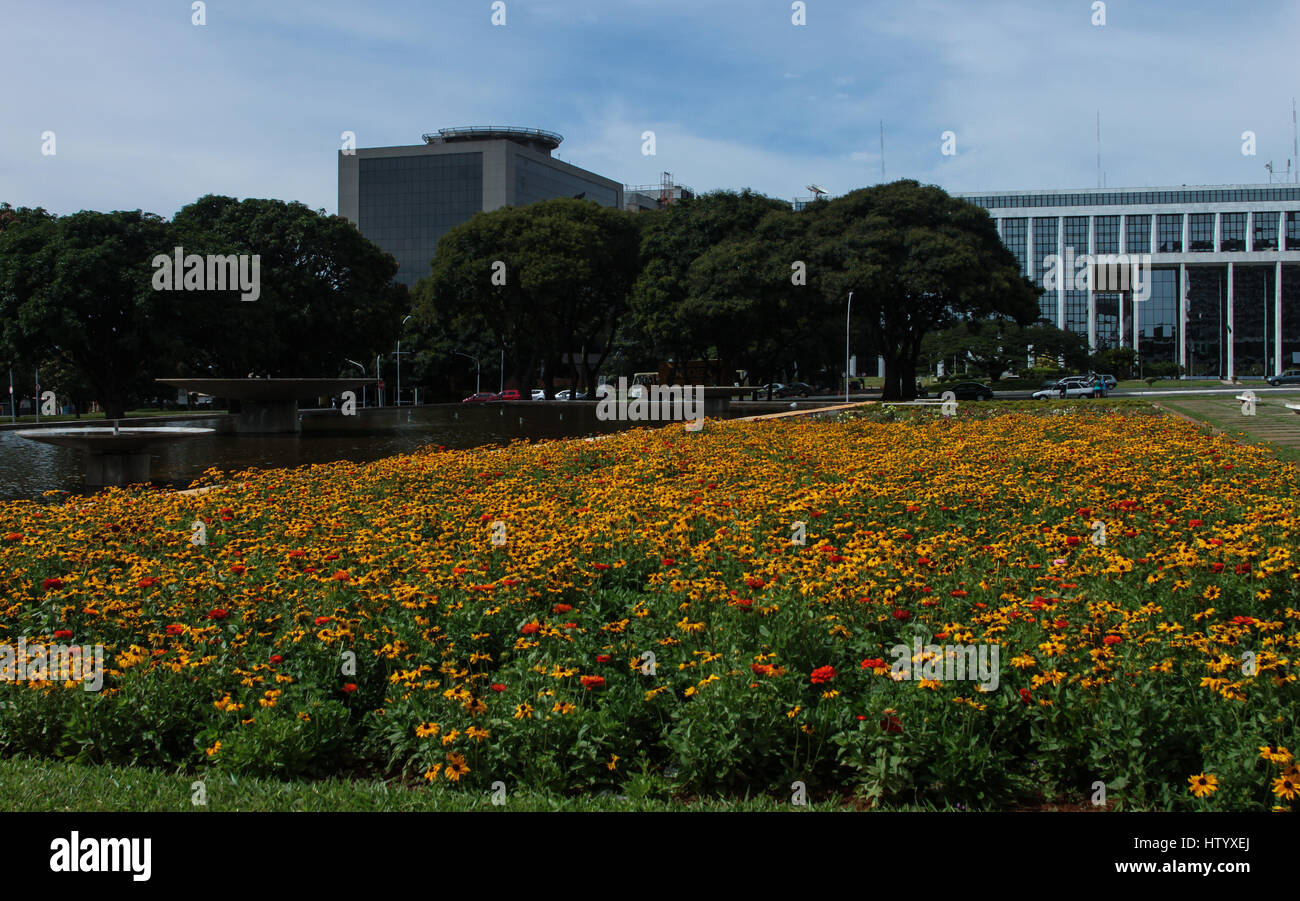 Brasilian Public Building: Buriti Palace square, Brasilia, DF, Brazil Stock Photo