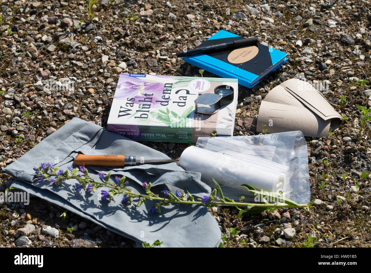 Zubehör für Pflanzenexkursion, Pflanzen sammeln: Bestimmungsbuch, Etiketten, Lupe, Notizblock, Stift, Taschenmesser, Gefrierbeutel, Umhängetasche, Sam Stock Photo