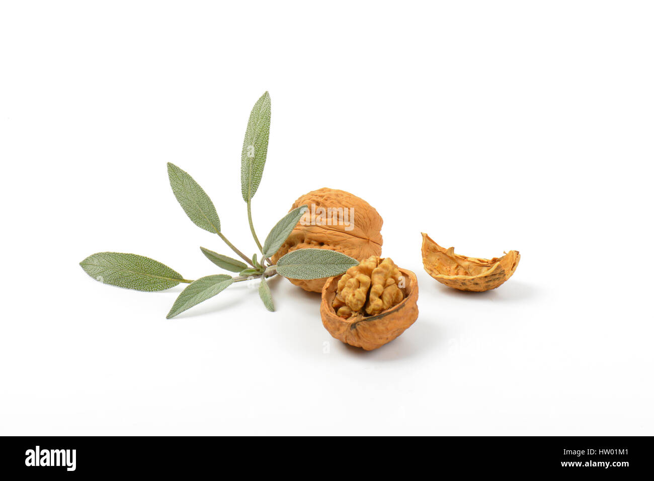 Walnut Sprig walnuts and sprig of fresh sage on white background Stock Photo - Alamy