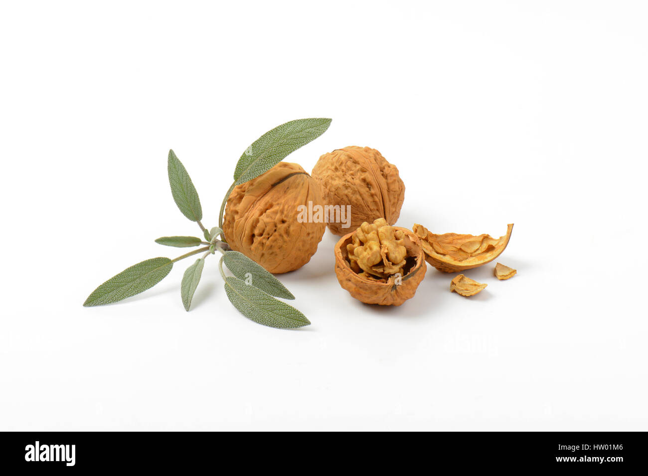 Walnut Sprig walnuts and sprig of fresh sage on white background Stock Photo - Alamy