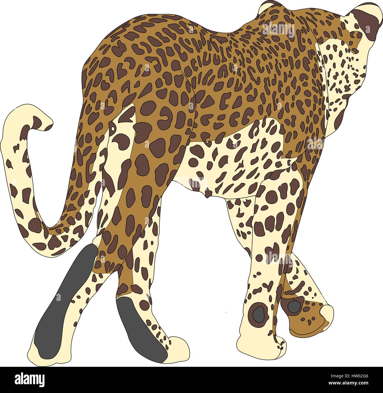 Leopard portrait in african Stock Vector Images - Alamy