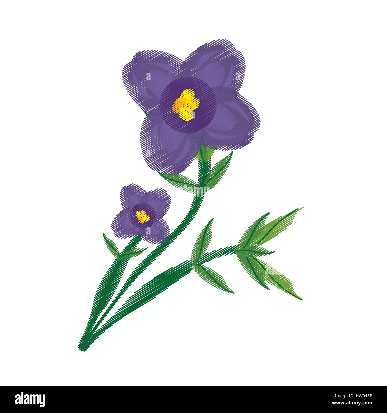 Drawing African Violet Flower Ornament Stock Photo Alamy