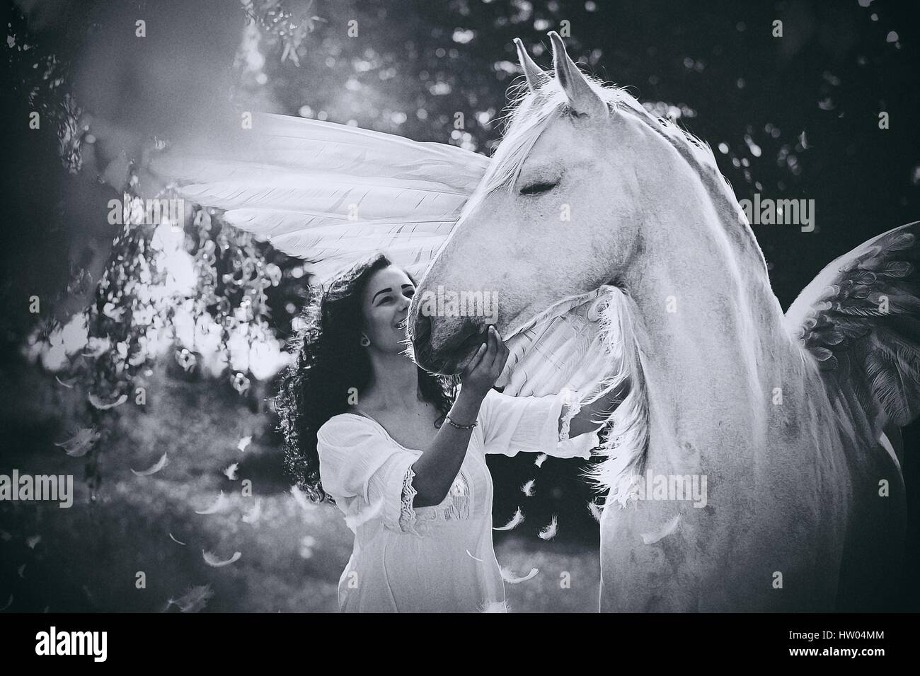 woman and Pegasus Stock Photo - Alamy