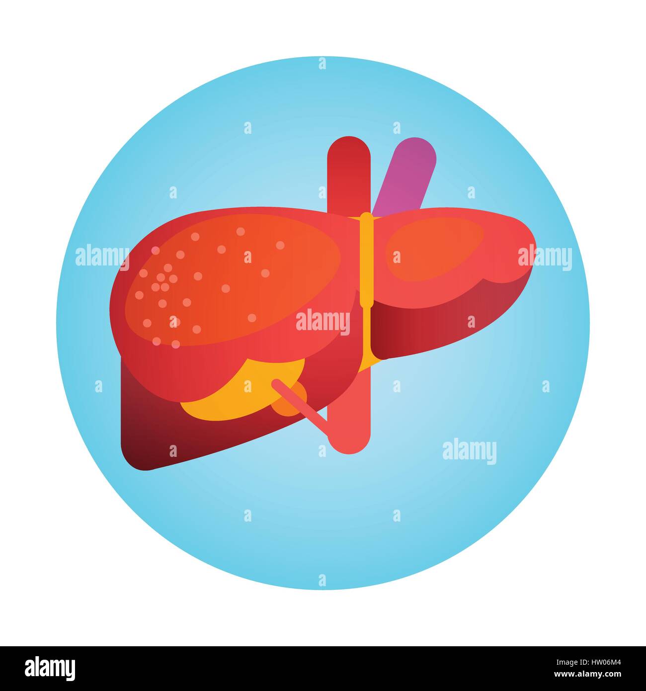 Liver Icon Health World Day Global Holiday Banner Stock Vector Art