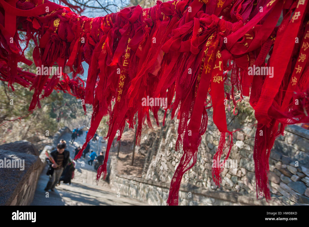 Red ribbons attached to an overhanging branch on the route up Tai Shan, China Stock Photo