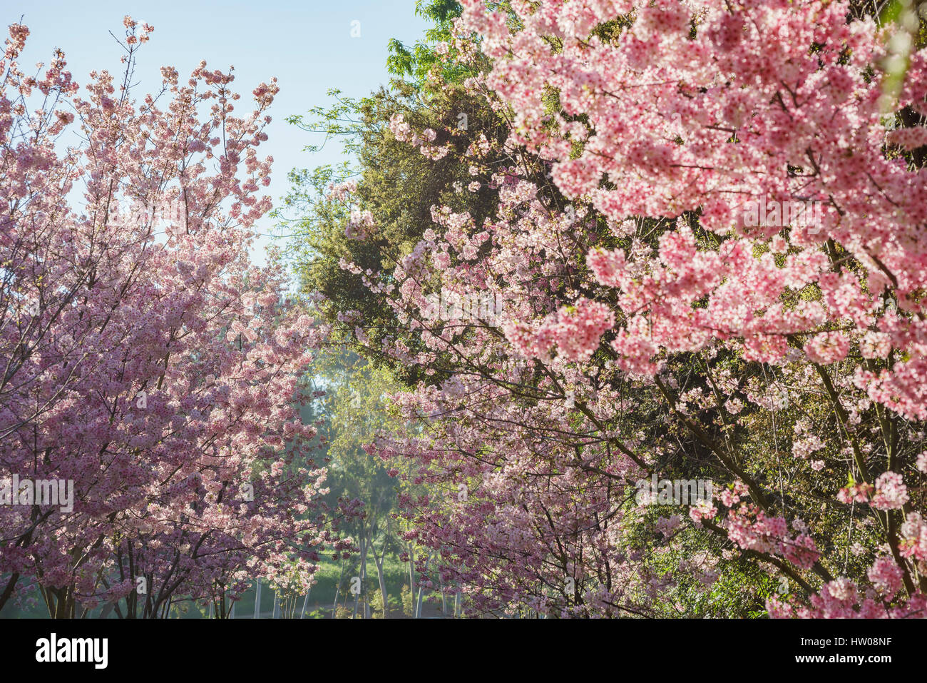 Rowland heights park hires stock photography and images Alamy
