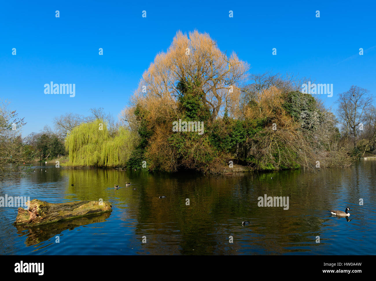 London, UK. 15th March 2017. An early taste of spring at Victoria Park, Bow, Greater London where the temperature hit 17 degrees centigrade. Credit: John Eveson/Alamy Live News Stock Photo